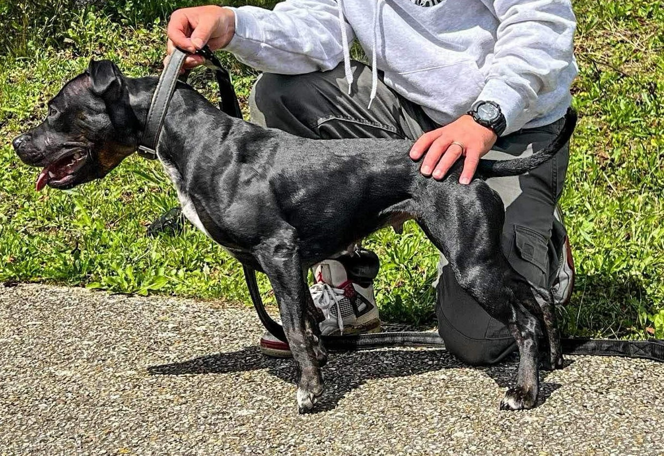 Sanka los guardas espaldas